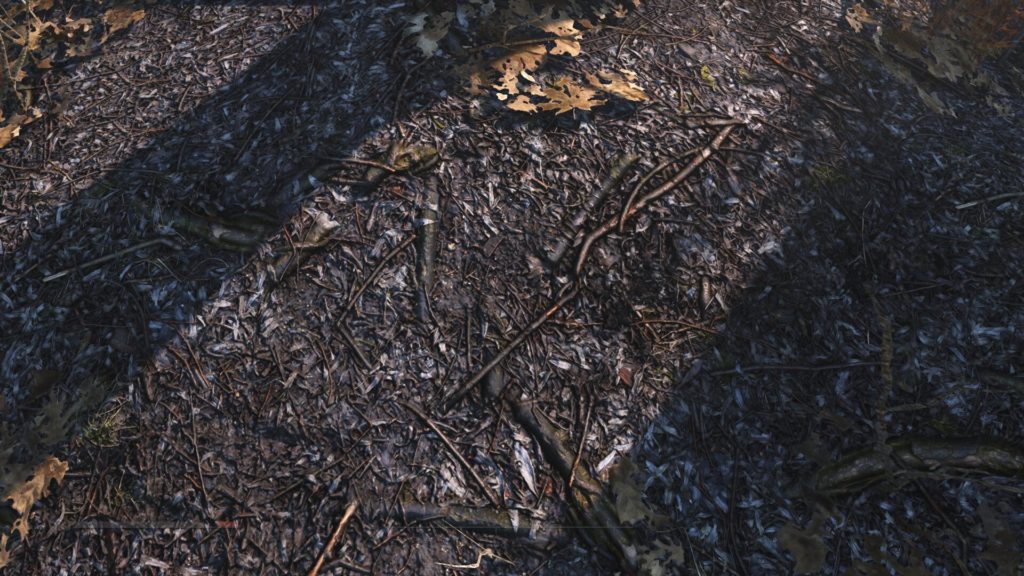 Image 4 : Un pack de textures embellit les paysages de Fallout 4
