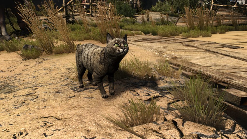 Image 7 : Les animaux de The Witcher 3 se refont une beauté grâce au pack HDAR - HD Animals Reworked